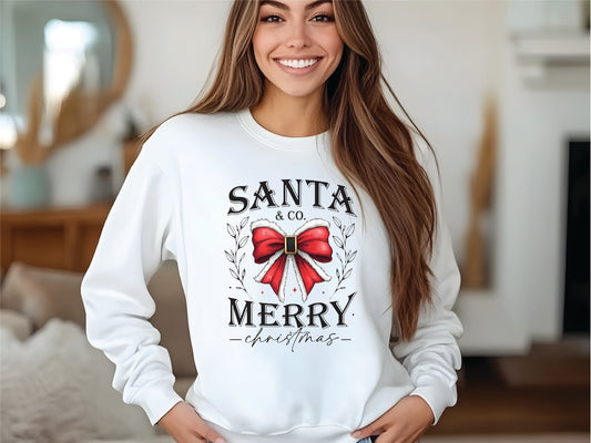 Girl wearing a long sleeve Christmas t-shirt that says Santa & Co Merry Christmas